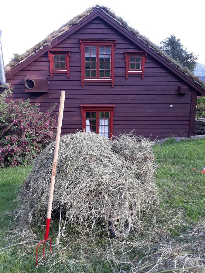 Orheimstunet - Gardsferie For Storfamilien Der Ogsa Hunden Er Velkommen Starheim エクステリア 写真