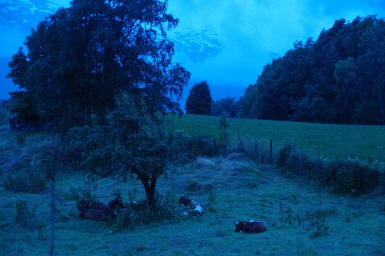 Orheimstunet - Gardsferie For Storfamilien Der Ogsa Hunden Er Velkommen Starheim エクステリア 写真