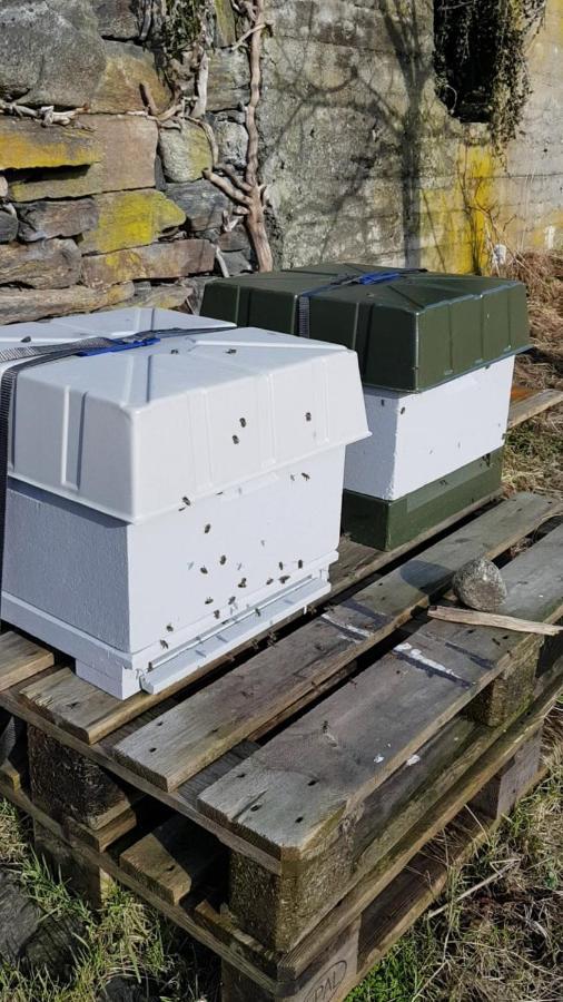 Orheimstunet - Gardsferie For Storfamilien Der Ogsa Hunden Er Velkommen Starheim エクステリア 写真